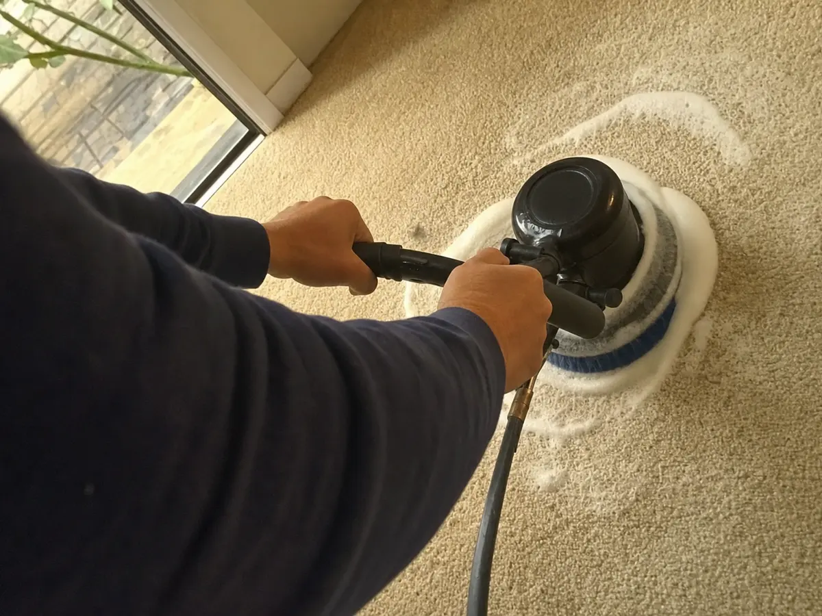 Carpet Shampooing in West Hills, CA